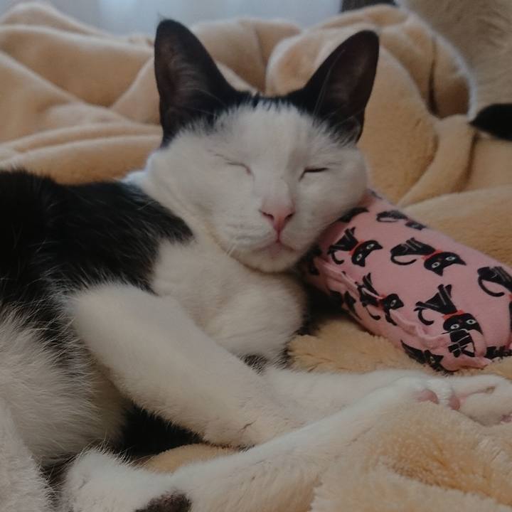 977fc150 5369 4be8 9bd8 a34e62f7f769 1554907689385