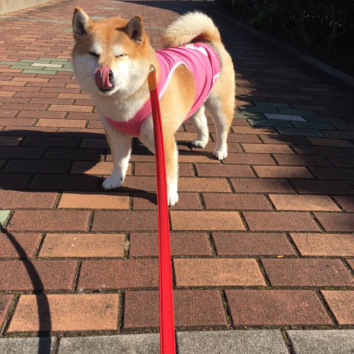 977fc826 1f1f 40bb a5b9 ad85ac8b00bc 1576811102741