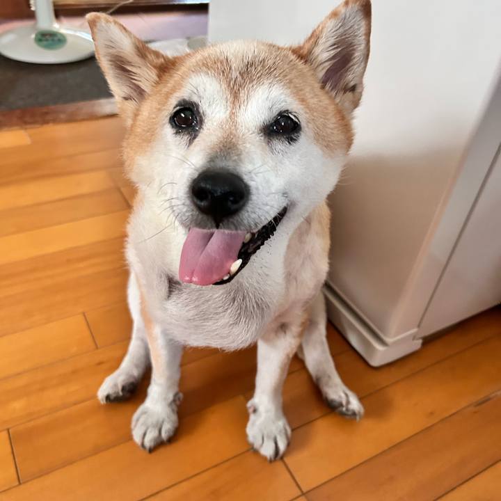 977fef6b a8a4 4165 8b71 4afc428e8d5f 1756606508351