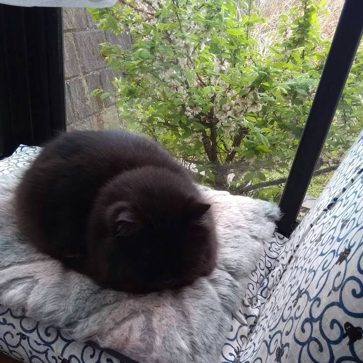 978032ef 7048 4dfe bc94 a5757e1697d3 1522977212397