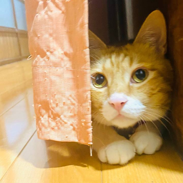 97804037 bc9b 49aa a08a 728c37dc58d7 1757244655092