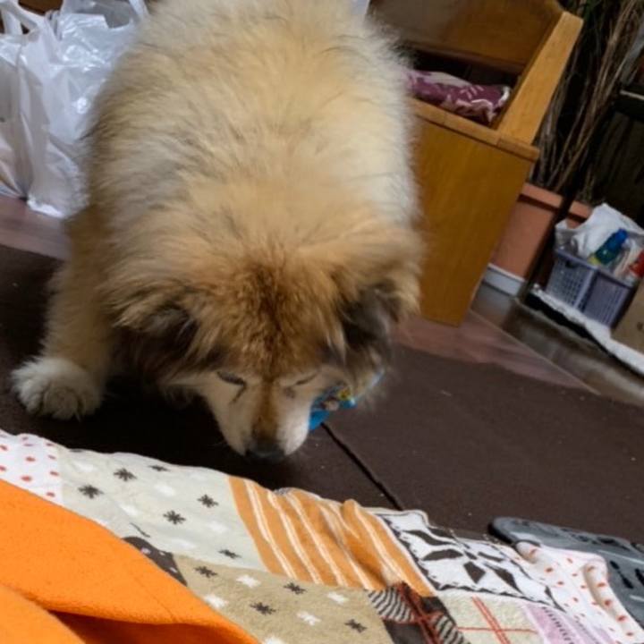 978058a2 ac0e 4db6 97f9 e8e76837d0fa 1635746647607