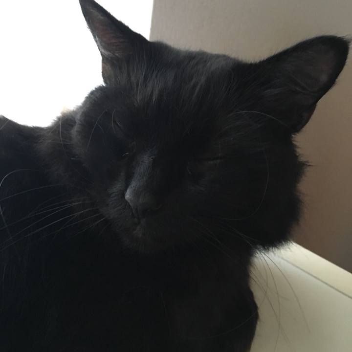 97807523 eb96 4d02 ac92 586b649362af 1536279088698