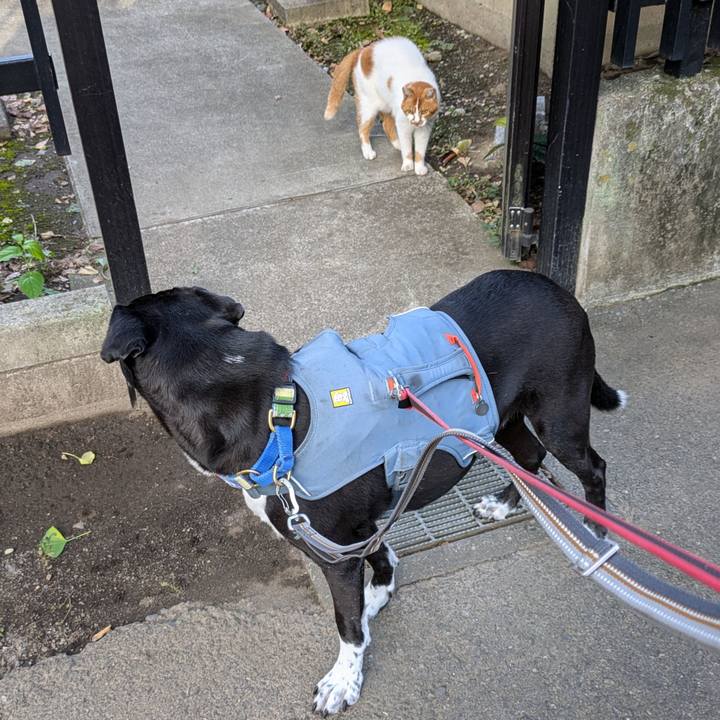 97809e95 8989 4511 a899 e126886067bf 1725581704905