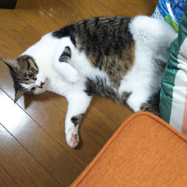 9780fde0 70d7 44bf af0b 8b44f8f95f79 1660482610549