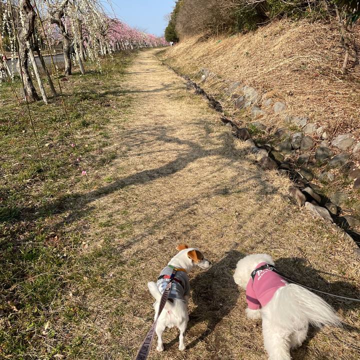 9780feef 04a6 492e 9840 494ea47e9a2a 1646215089095