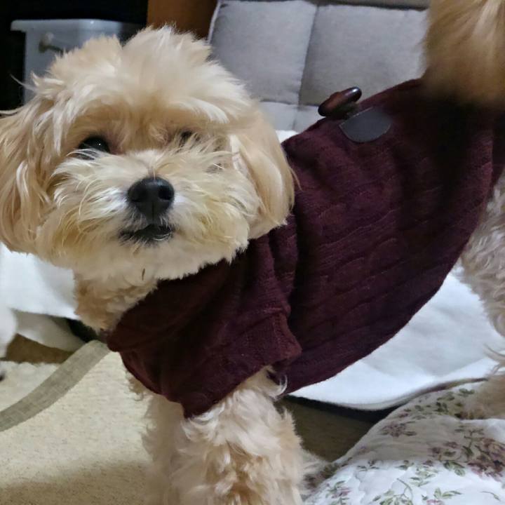 9781138e d1e4 4f0b 931b 7504d6b63a51 1509184248267