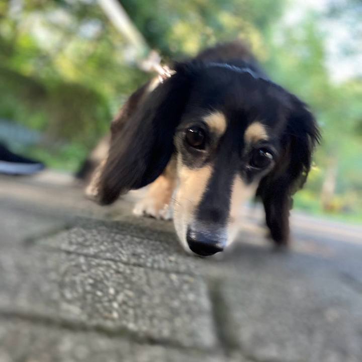 978123f2 c288 4923 bcd0 107f8d781aa2 1721603292019