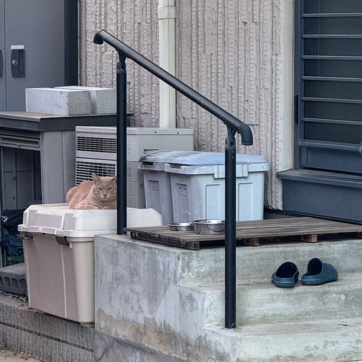 978142bd 6229 41d9 853d 85c73abf2a8b 1756347892564