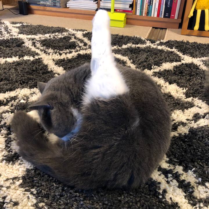 978147d4 d700 4d29 b058 f4cd73f2d083 1575771134668