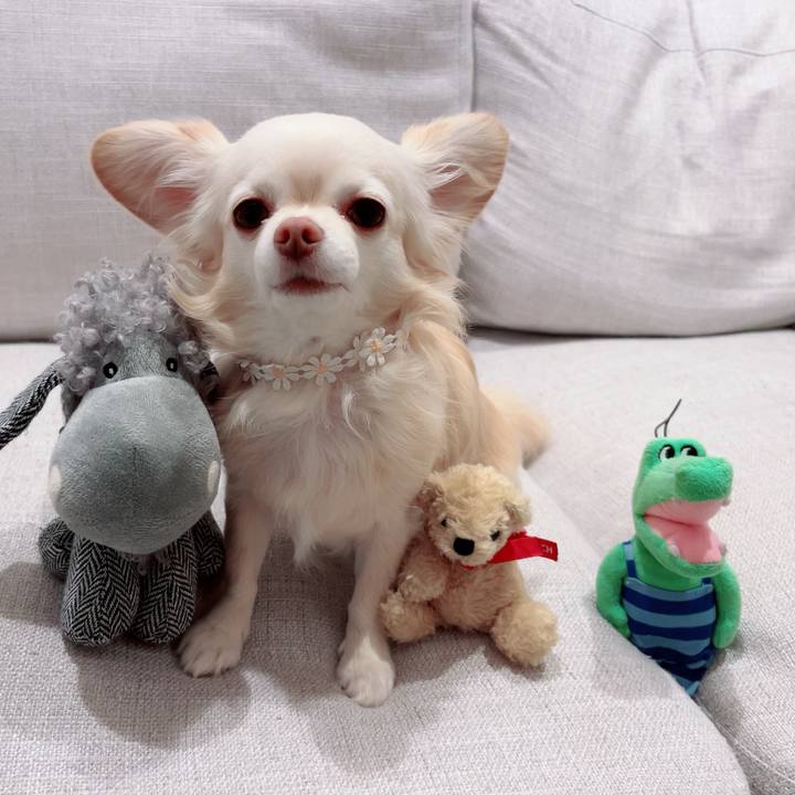 97815045 e387 4bcd 82b5 26f8ccfec103 1702290993312