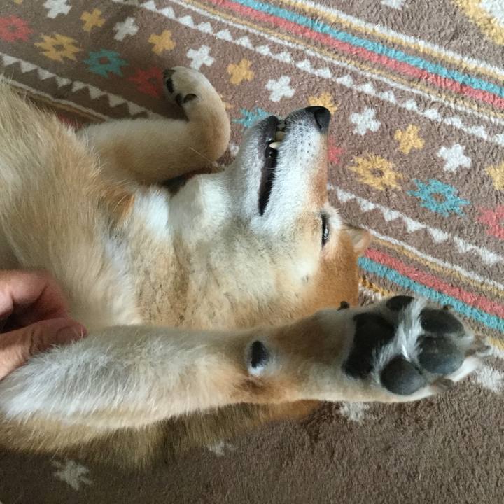 97816387 3ca4 4313 8343 8f0483b488aa 1559806928522