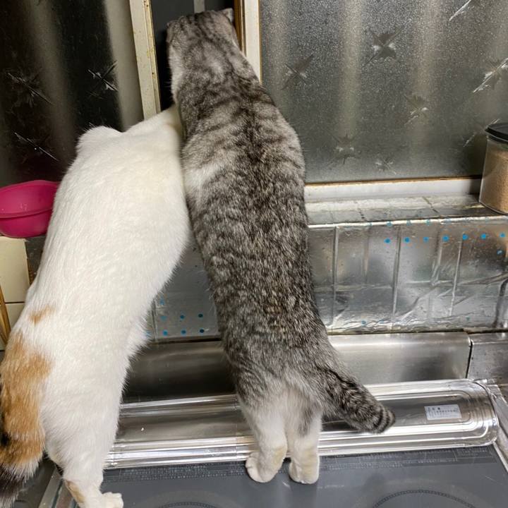 97819a3e c0b0 4f33 b5ae 5e7aa86de864 1620131583055