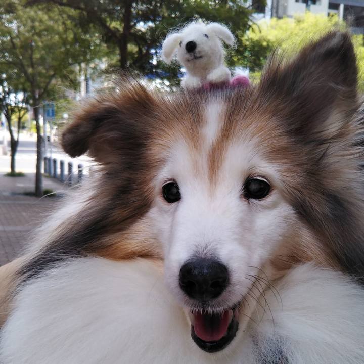 9781a1c5 5e4a 4358 a009 b5c1238c428a 1584202630299