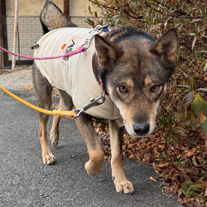 9781bf55 ddf8 498f af5e 1ed06059946e 1767693097395