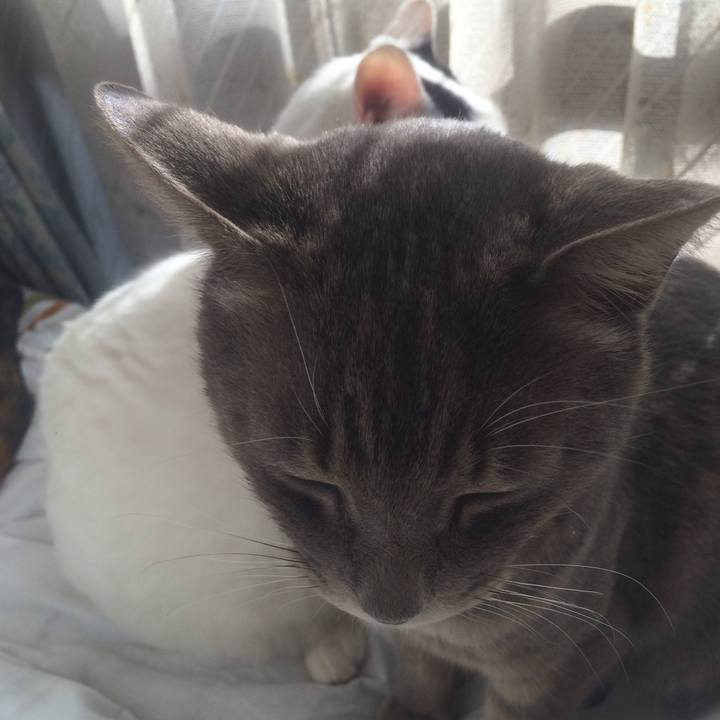 9781c81f 9947 45bd 96ea 50244b554300 1516067376210