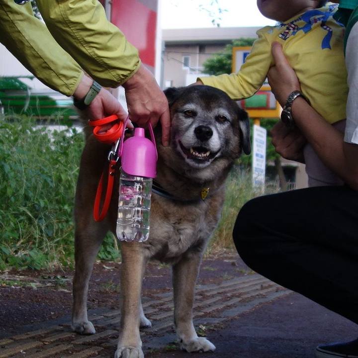 9781cc6b 2ecd 4e54 a2b3 df278813e817 1716077922030