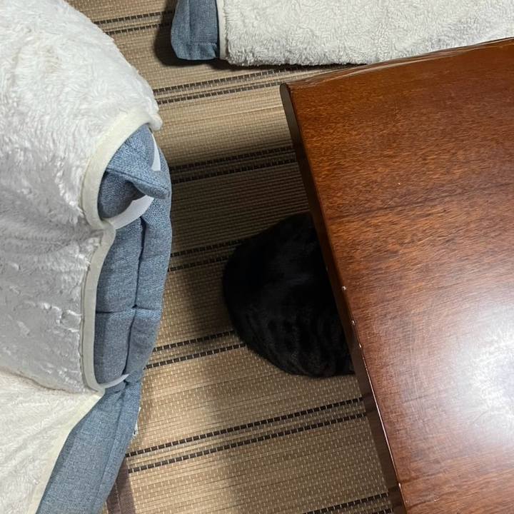 9781d169 d6b1 421c 9d8c 89cae78070e4 1765236015347