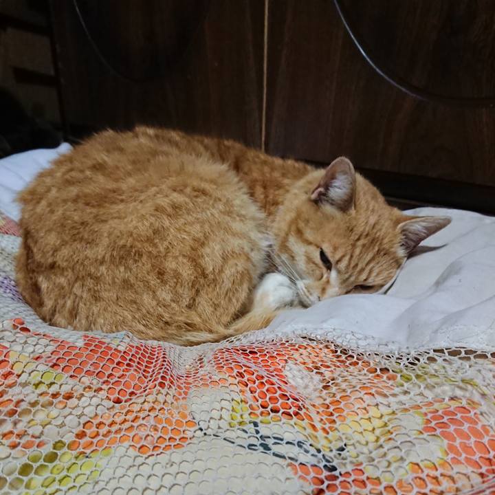 9782032f 40ca 4fe3 ac6c 77b1efe675ff 1587209050431