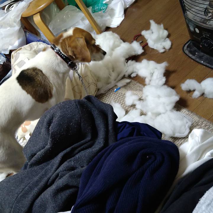 978234f6 31b4 4819 9849 60cca3c33d10 1618492467236