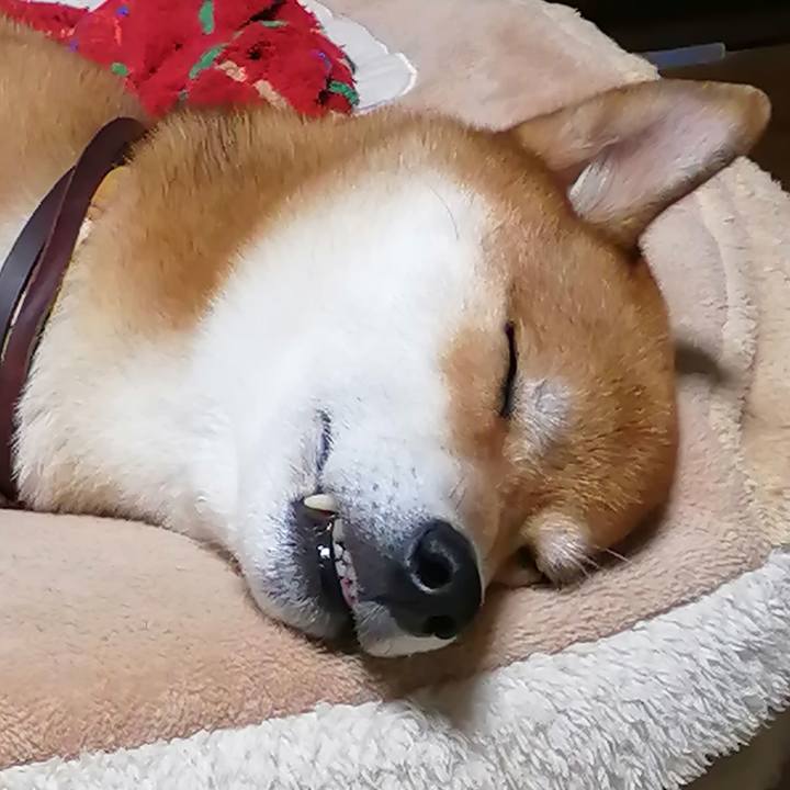 978238de bb0e 4417 8ab4 1b6a1e8b2457 1630073643733