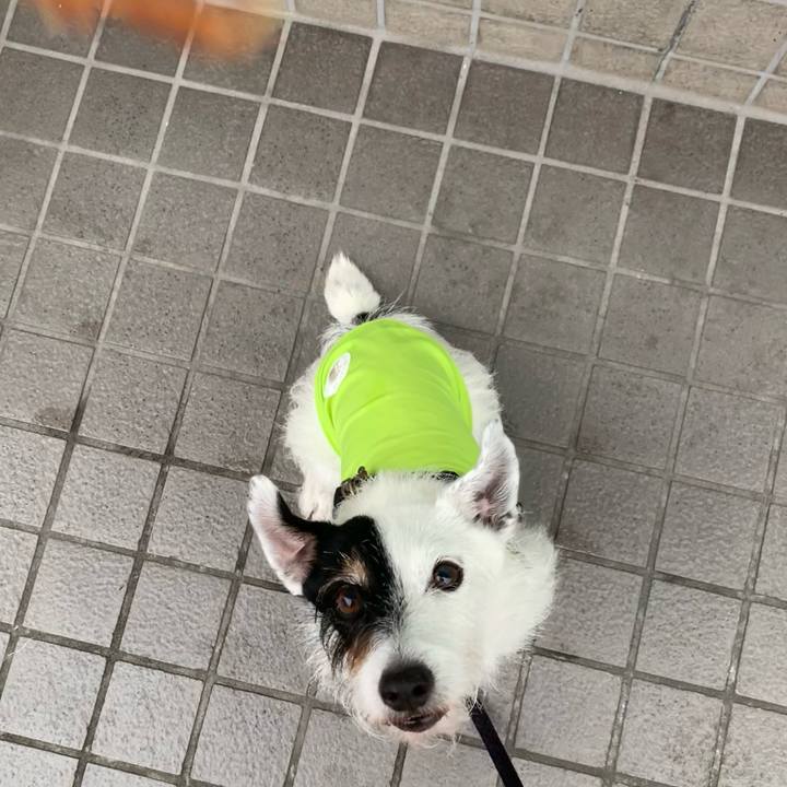 97823a58 67ce 4606 876d de8b3a9893b5 1720769562023