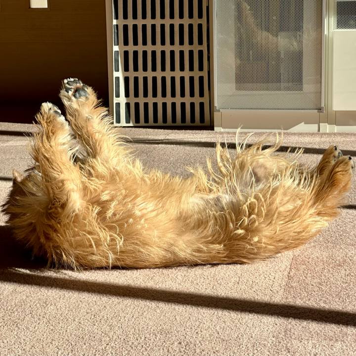 97823be4 626c 4d57 b13e 289e2110e35a 1735397796373