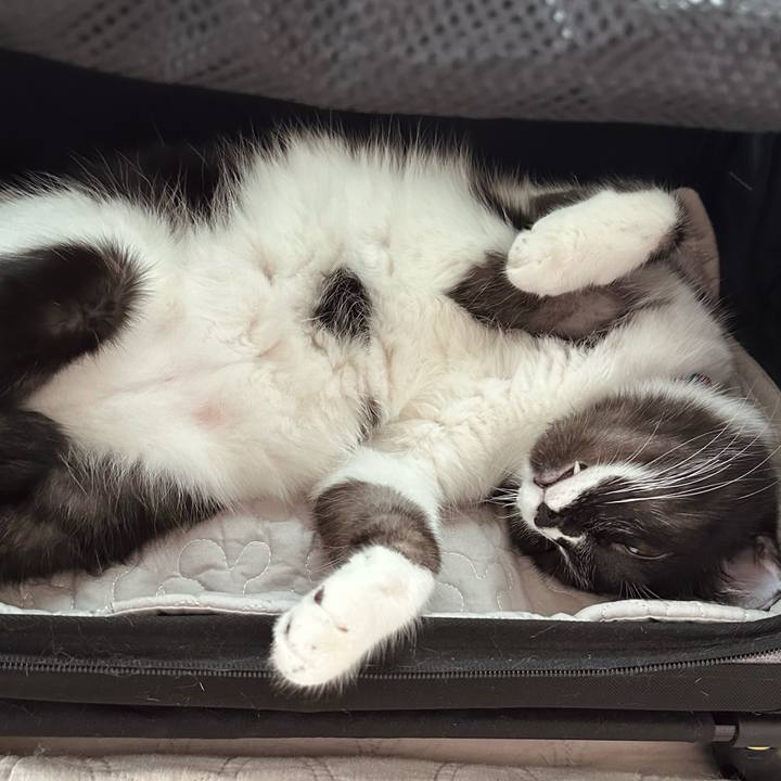 97824eea 9399 4581 be64 8b22a12c7b71 1758958268334