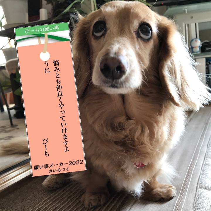 978252df 6f40 4a0b 9017 fd664ed24326 1657193545705