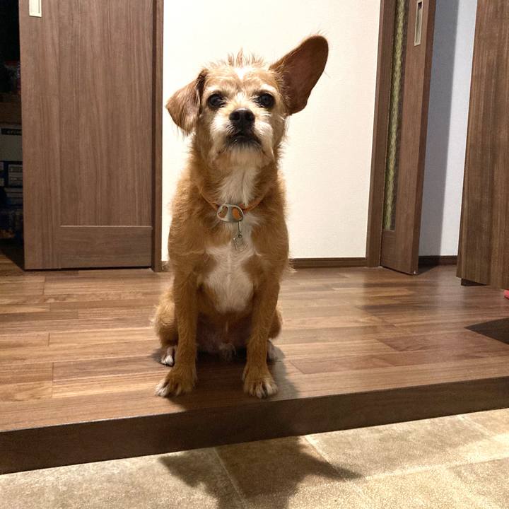 978265fd 7ebc 447d 9171 41bf9925a654 1661725118705