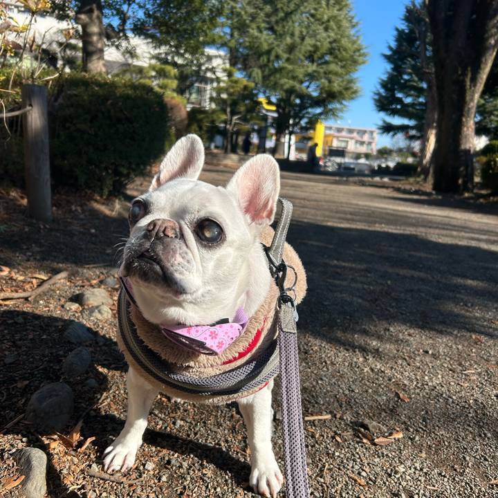 9782686c bf15 42c3 a71e d2cf57e614b0 1767074740926