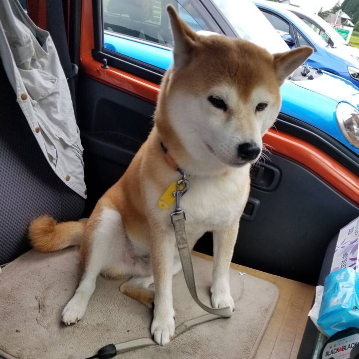 978270a4 eff2 4f64 8519 3c48e52a2e66 1567130225778