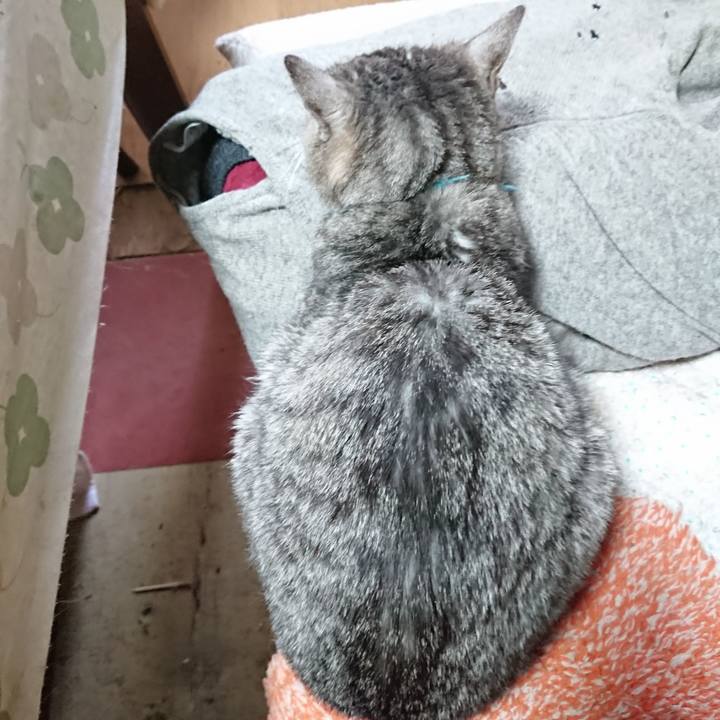 97827b21 da81 4609 80bf 41c996d2d877 1575774250803