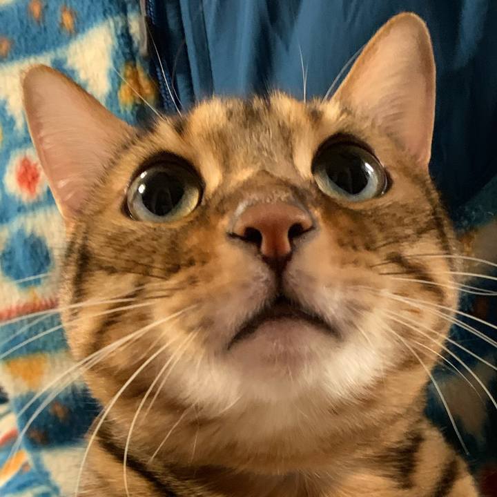 978322de 1737 4c3c 9881 d9dff40ca5ef 1575673413071