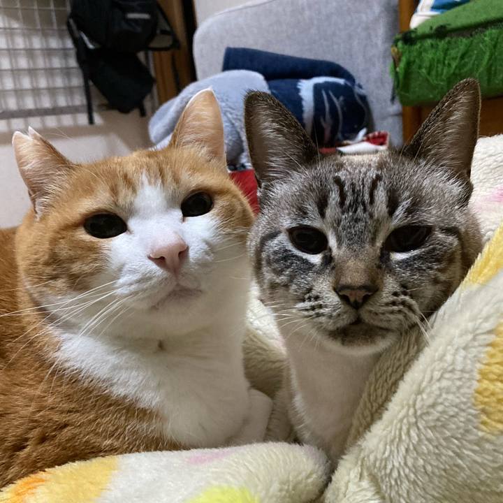 978351a3 9ce1 4bc0 967d 1f7f993ea00a 1769592281321