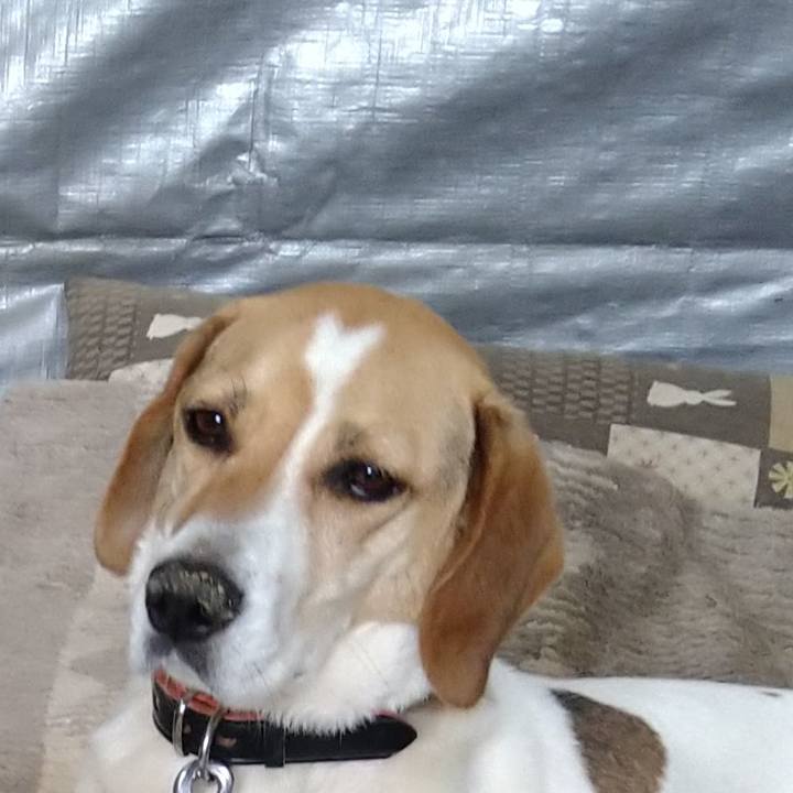 978356f0 80a4 4d58 9aeb ce0610483069 1624592188119