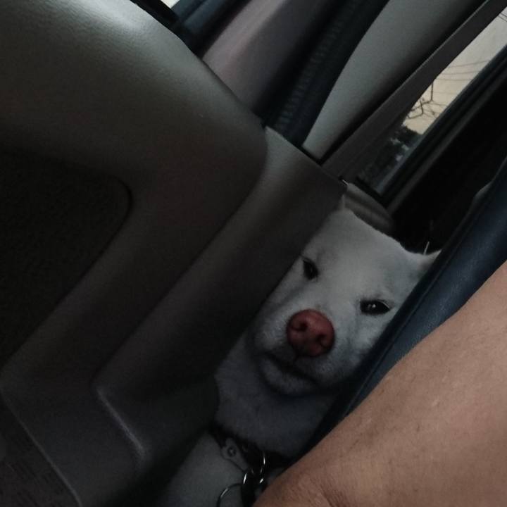 978368c0 0f3b 4199 844a f8c302a95548 1527499019819