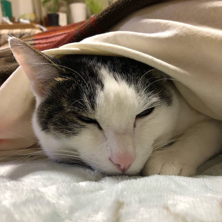 9783909d a507 47ea 8502 60be0130b386 1703196827122