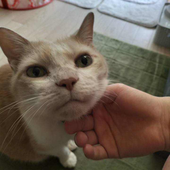 978392eb 056c 42c8 9c30 822e1ea92559 1663712422298