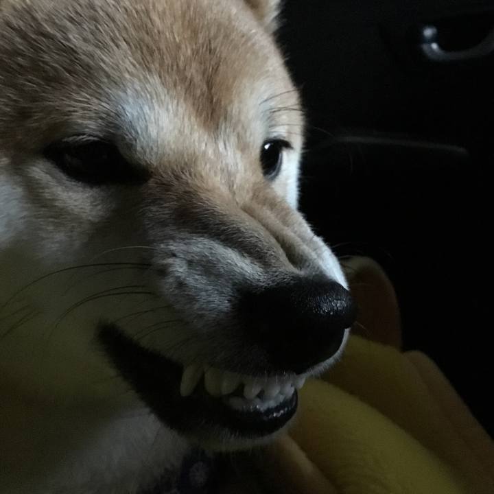 9783981f 95a7 4081 bbea cf5e8dd722fd 1640610689999