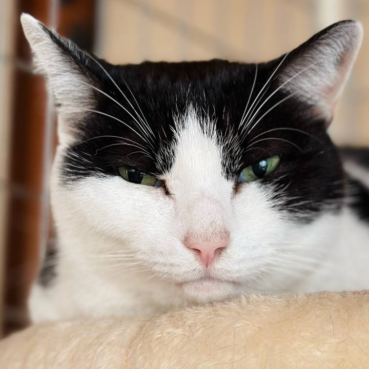 9783eb2a a695 4baf b2f9 f63a32580108 1704762044212