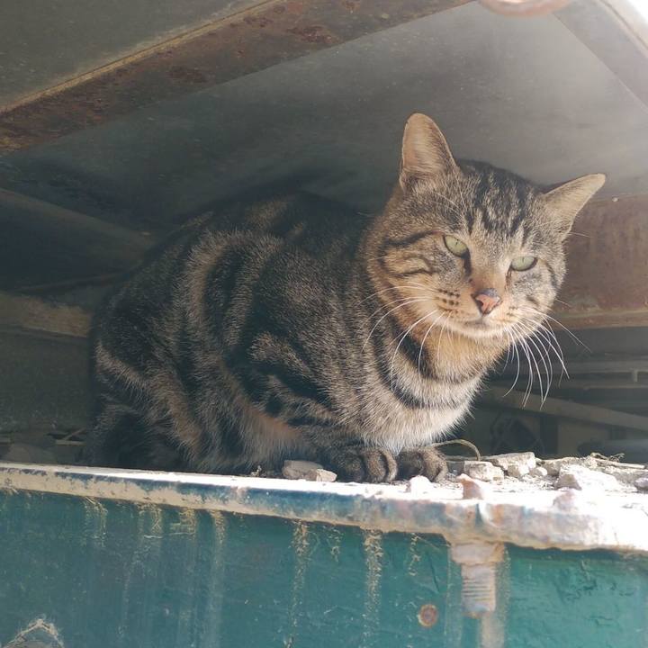 97841099 2621 47ac a3d6 e6e7934c56c0 1605237989002