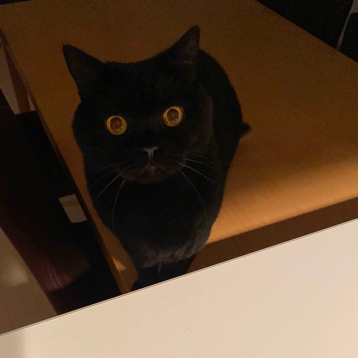 97842790 a6ca 49db 88d0 e18c218047df 1703938620180