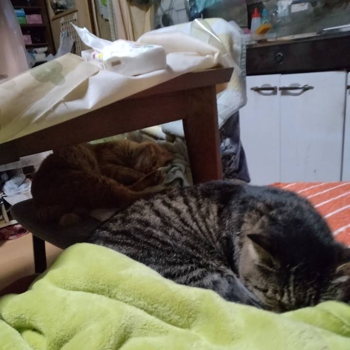 97842a15 0b25 44aa bcaf b919c2f12805 1700173140331