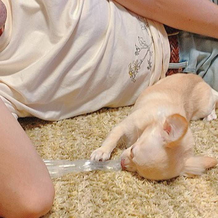 978450eb f0f6 47ea acac 5e20fa9f9310 1600595912754