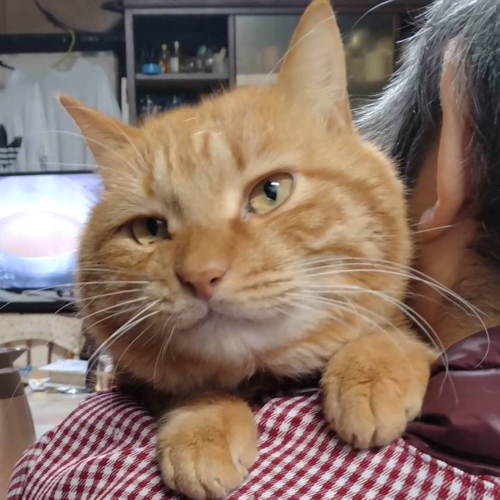 978478b1 0ae1 4022 84b2 fd4fcd5eed17 1704526862638