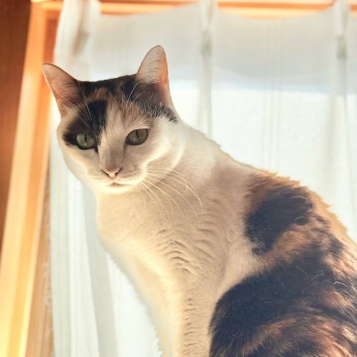 97847c1d 3df7 416c a4e0 f736cd757c11 1733971564122