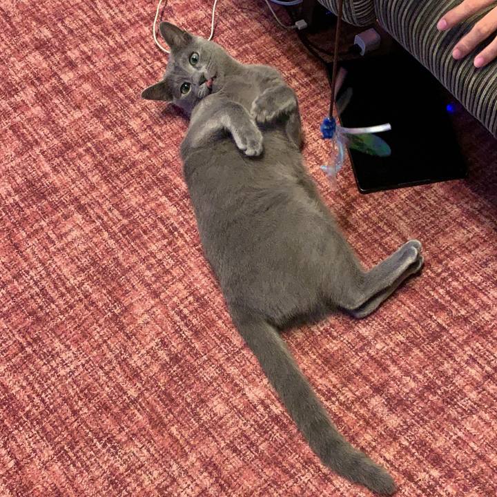 9784be38 ac5f 456e 82a9 a99f5b5b4627 1576731395240