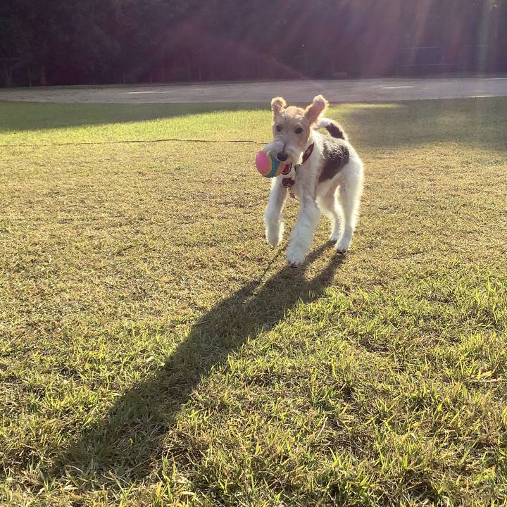 9784d2ed 49e3 48c8 9413 2fe6e1ccedc0 1762780120946