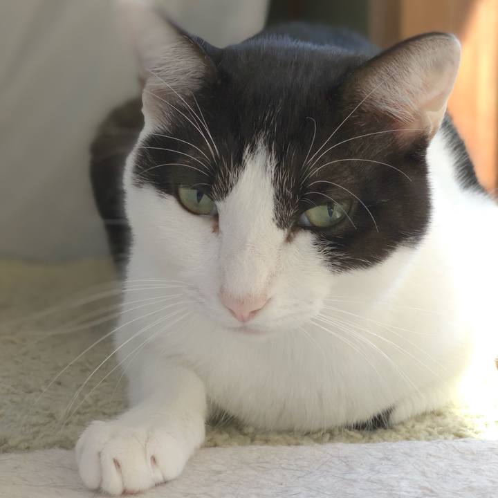 9784d690 33de 4c35 aa07 3386941f2d38 1538793571935